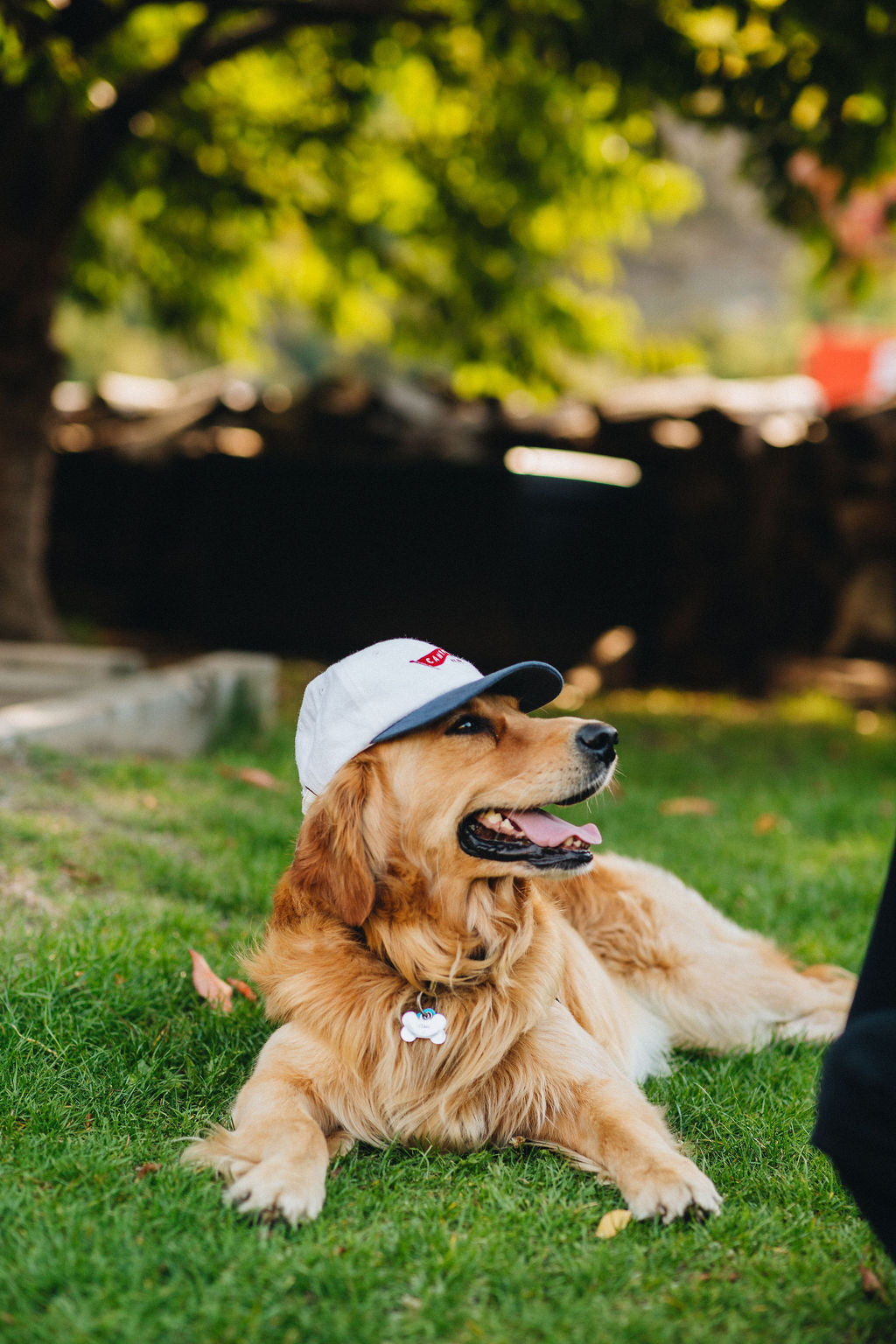 Tidy Cap