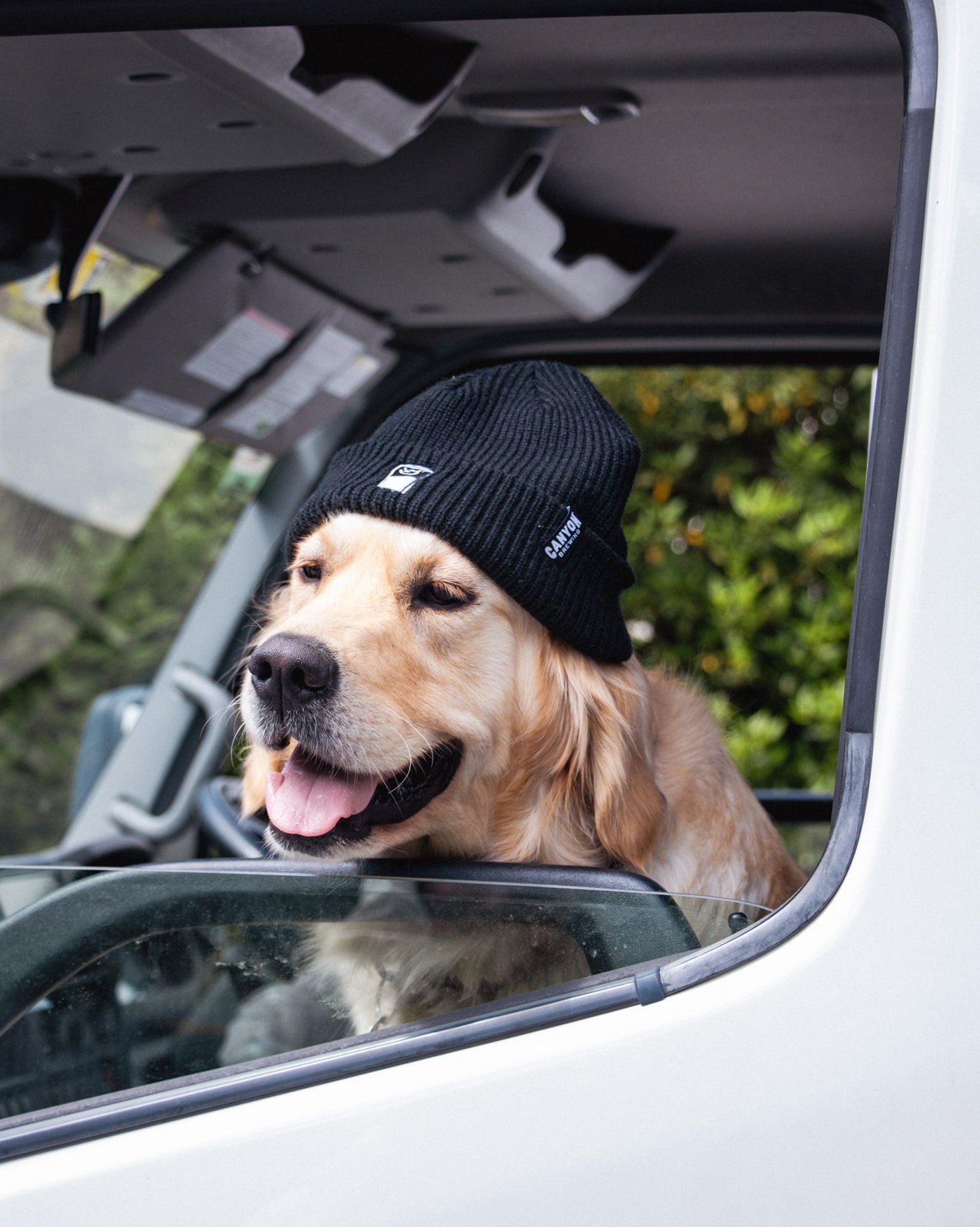 Pint Beanie