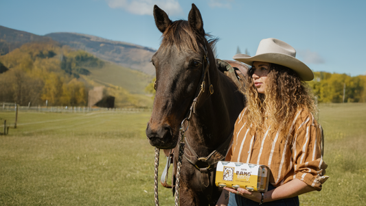 Bang Bang’s Back in the Barn