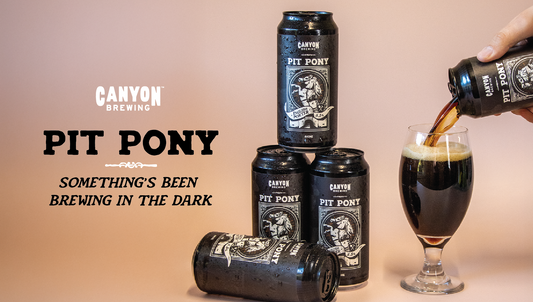 From the Pit to Your Pint. Meet Pit Pony.