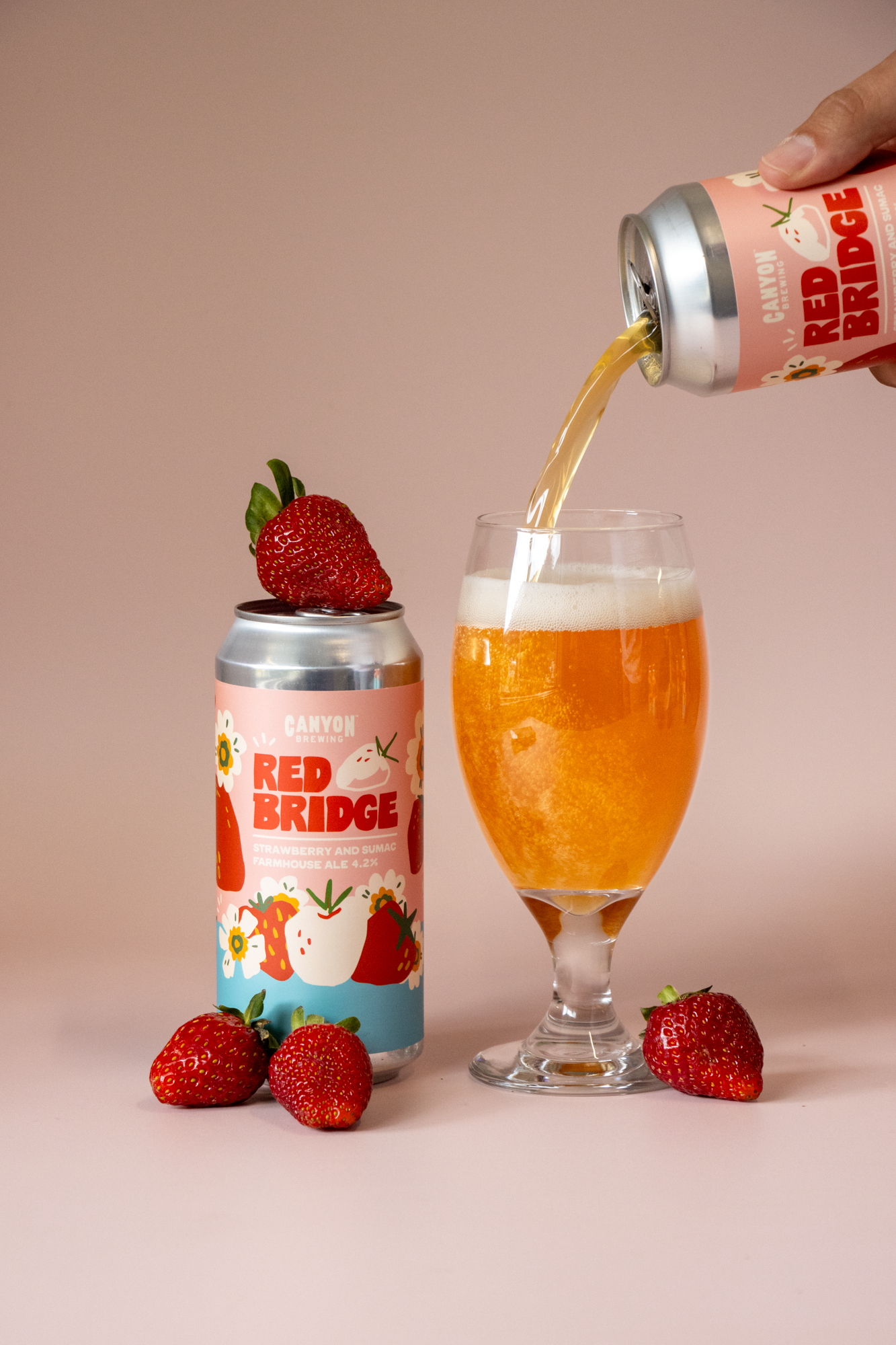 Red Bridge - Strawberry and Sumac Farmhouse Ale 4.2%